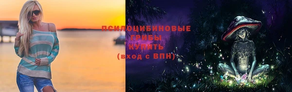 соль ск Бронницы