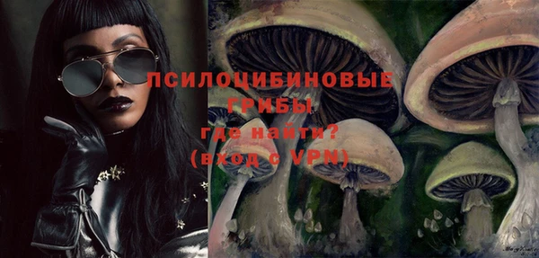 соль ск Бронницы