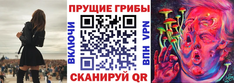 Псилоцибиновые грибы прущие грибы Бородино
